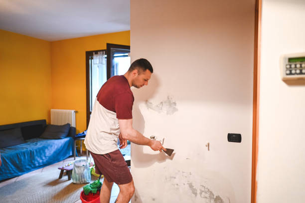 Best Toxic Mold Removal  in Clinton, WA